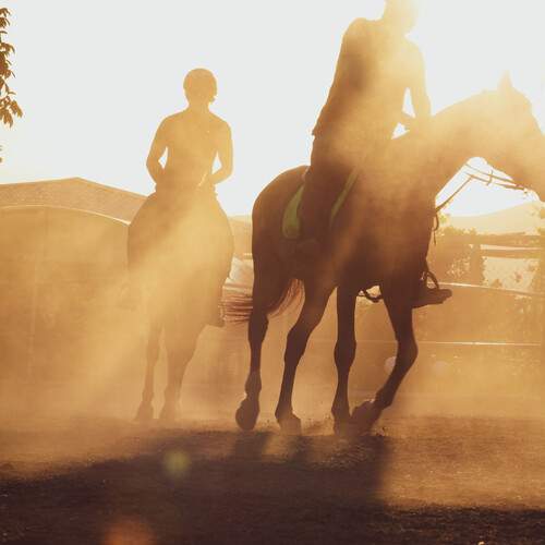 Photo #13003601
