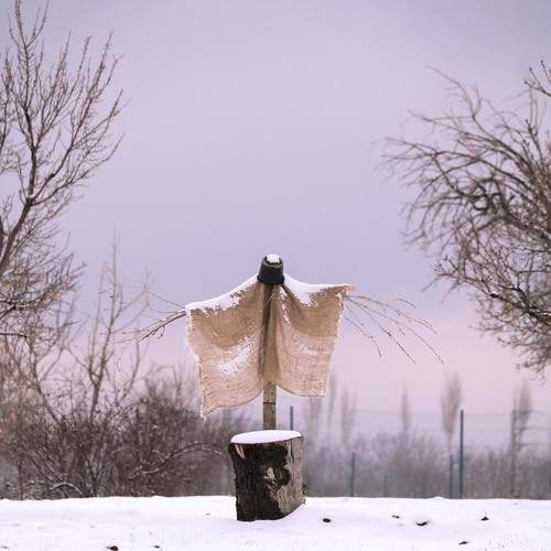 Photo #13003614