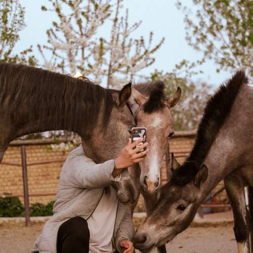 Photo #13003650