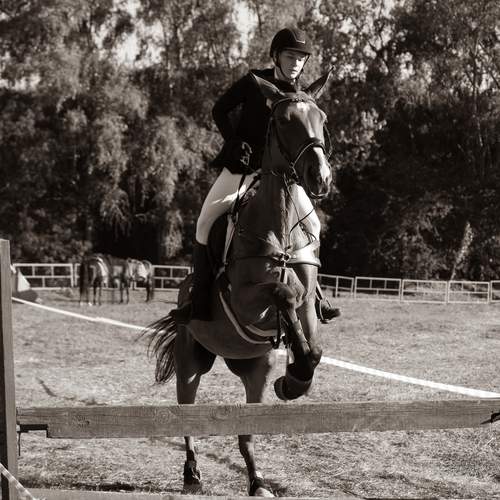 Photo #13003722
