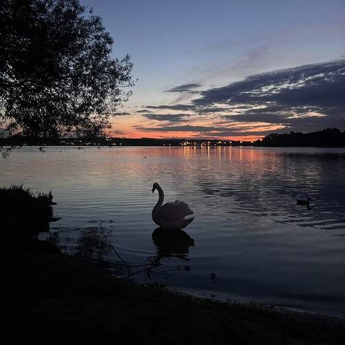 Photo #13003815