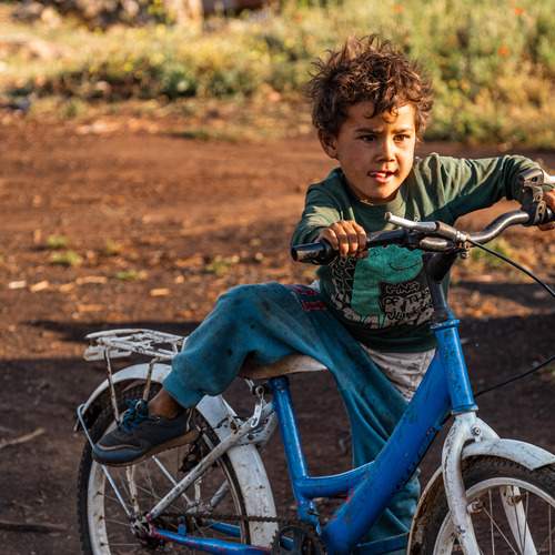 Photo #13003872
