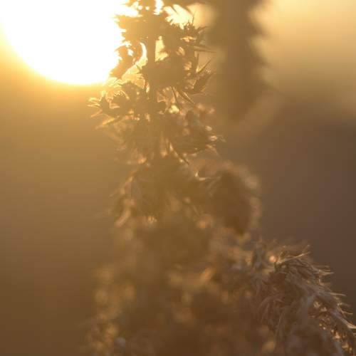 Photo #13003913