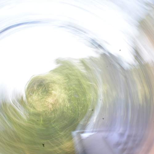 Photo #13004346