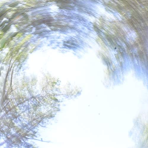 Photo #13004347
