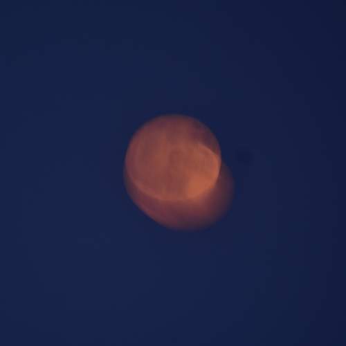 Photo #13004483