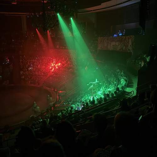 Photo #13004547