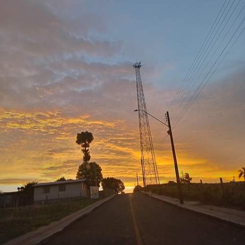 Photo #13004640