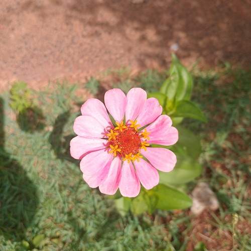Photo #13004641