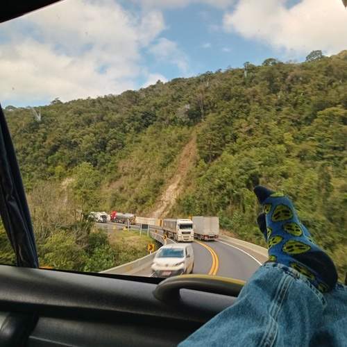 Photo #13004662