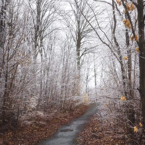 Photo #13004667