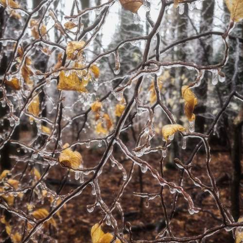 Photo #13004668