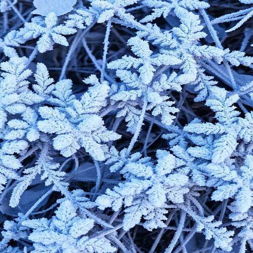 Photo #13004703
