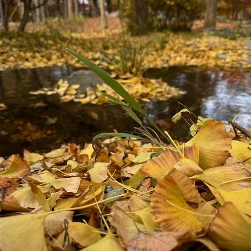 Photo #13004751