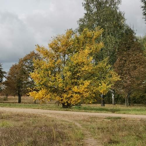 Photo #13004896