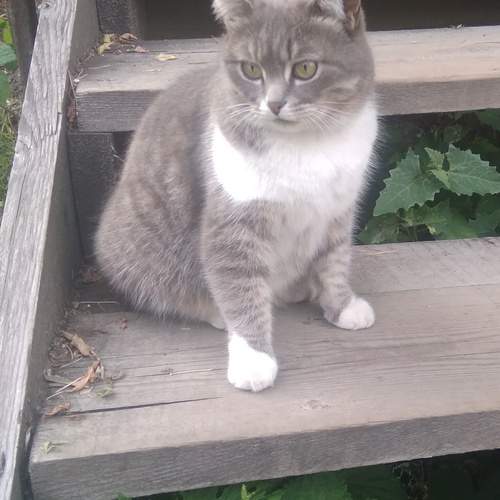 Photo #13004961