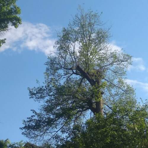 Photo #13004963