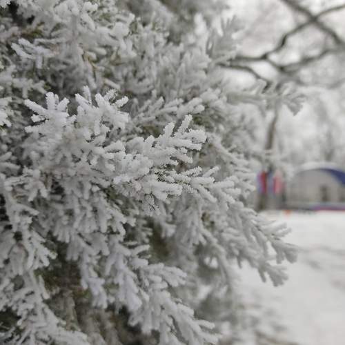 Photo #13005068