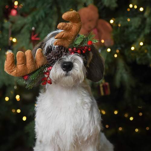 Photo #13005214