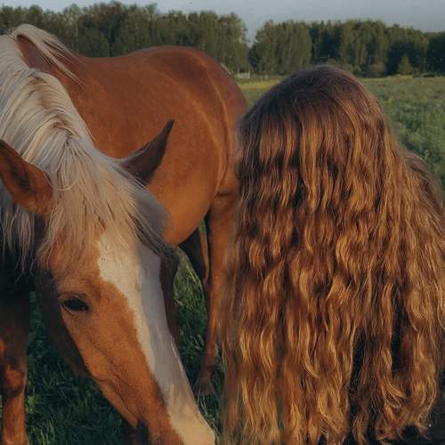 Photo #13005262