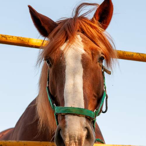 Photo #13005269