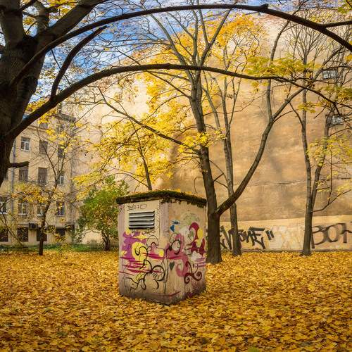Photo #13005375