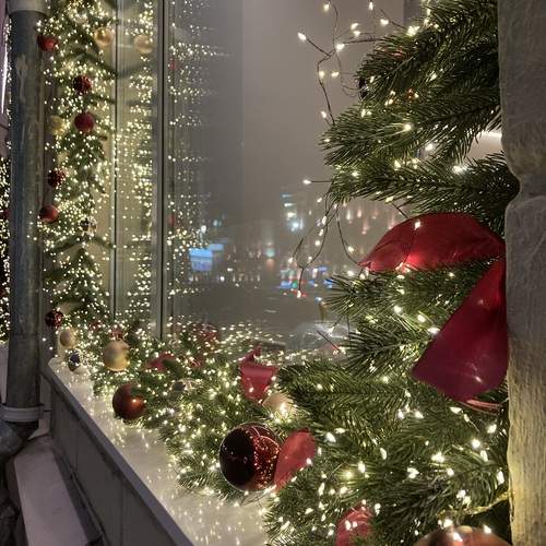 Photo #13005494