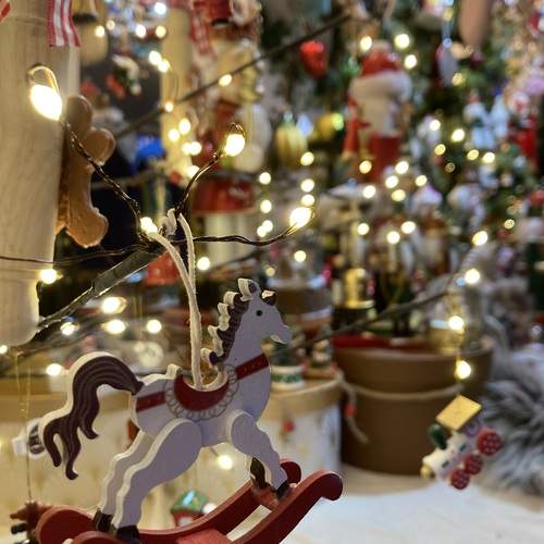 Photo #13005499