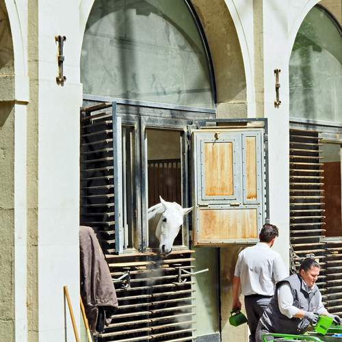 Photo #13005717