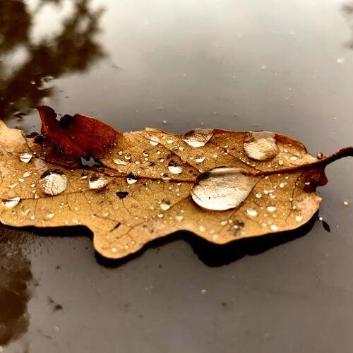 Photo #13005758