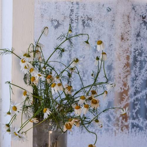 Photo #13005888