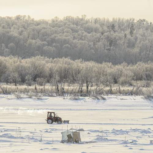 Photo #13005988