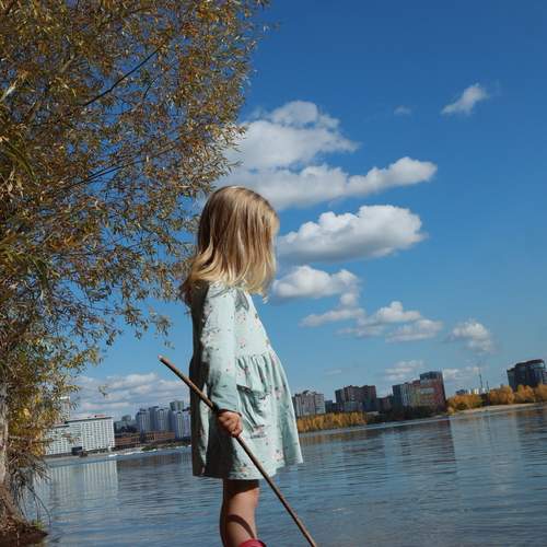 Photo #13006066