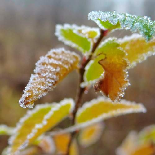 Photo #13006164