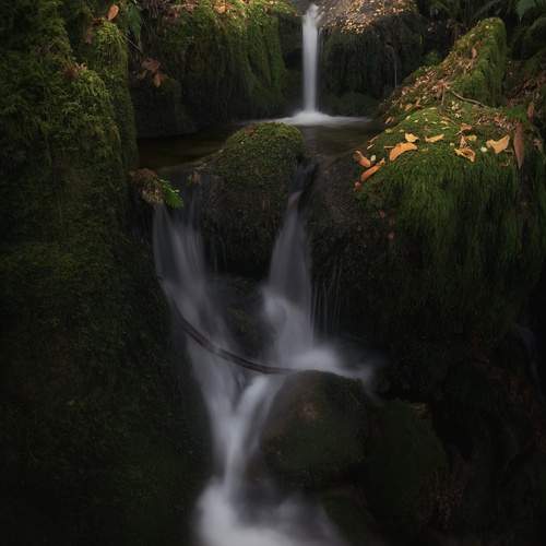 Фотография #13006183