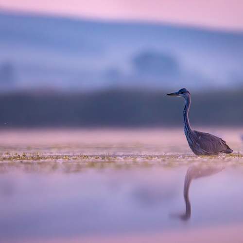 Фотография #13006217