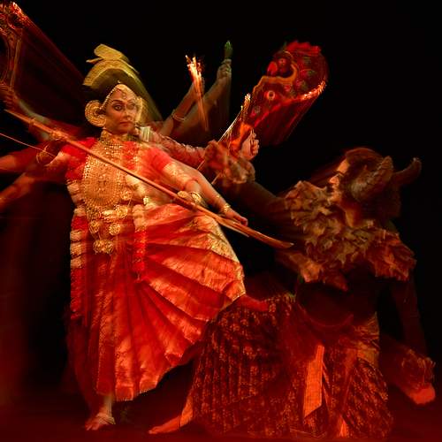 Photo #13006330