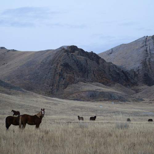Photo #13006375
