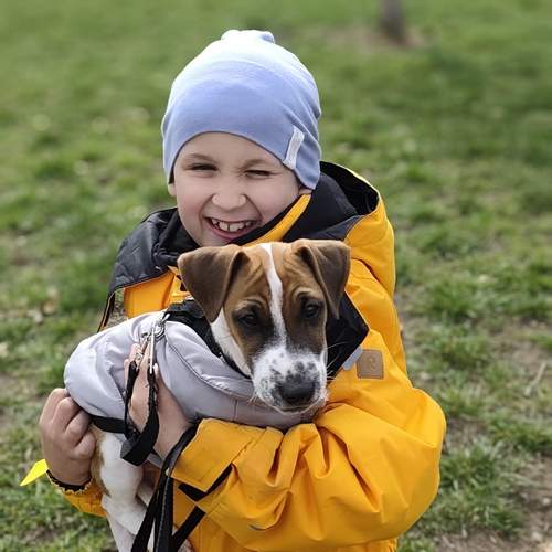 Photo #13006439