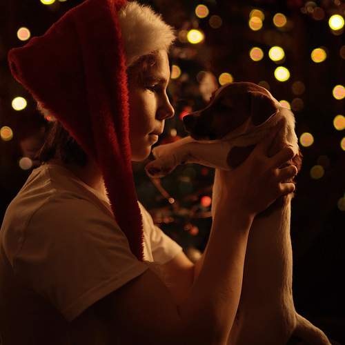 Photo #13006807