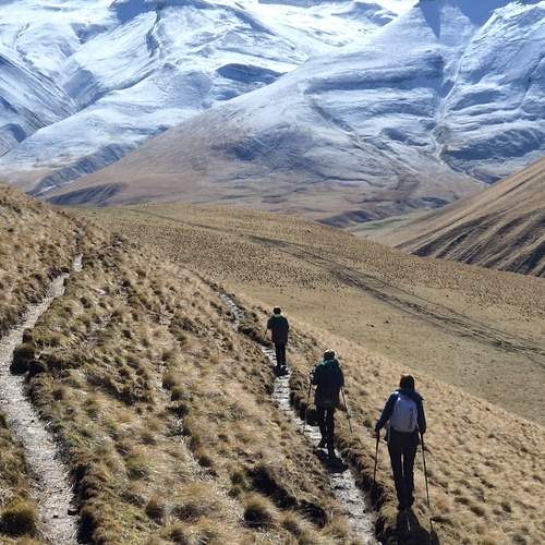 Photo #13007017