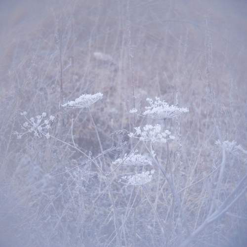 Фотография #13007028