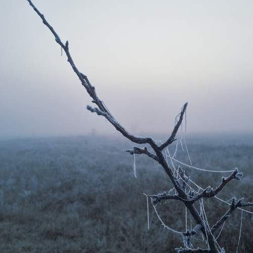 Photo #13007092