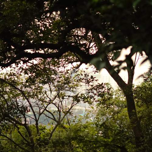 Photo #13007222