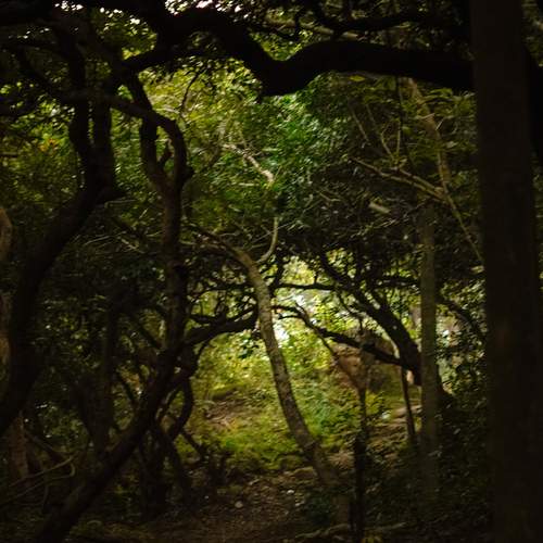 Photo #13007250