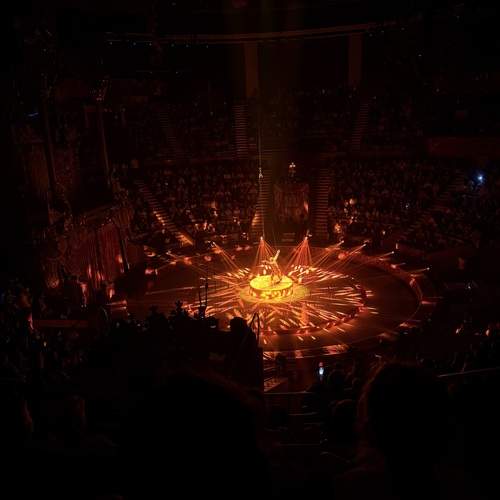 Photo #13007255