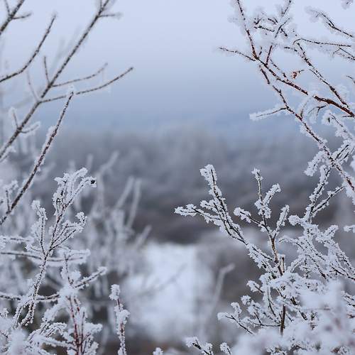 Photo #13007302