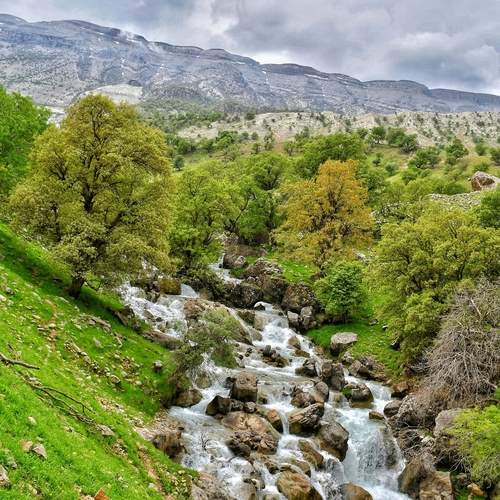 Photo #13007370