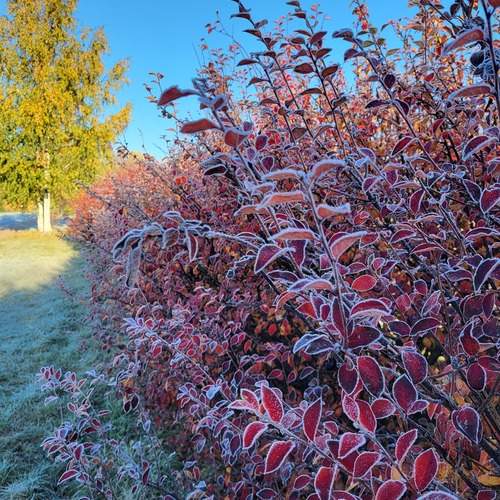 Photo #13007587