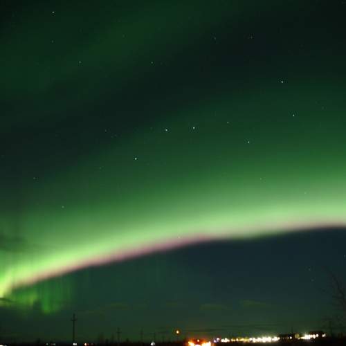 Photo #13007815
